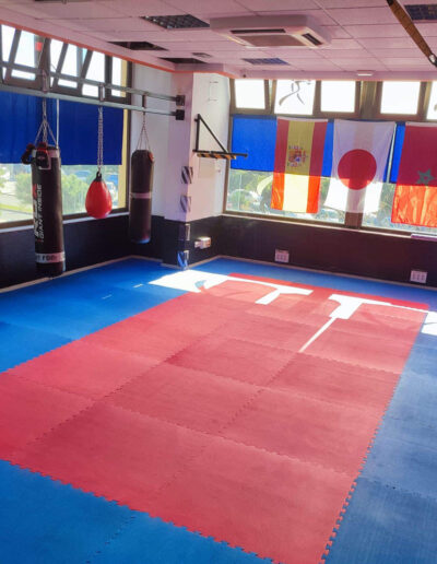 20mm Reversible Jigsaw Mat, Red/Blue - T model | Installed