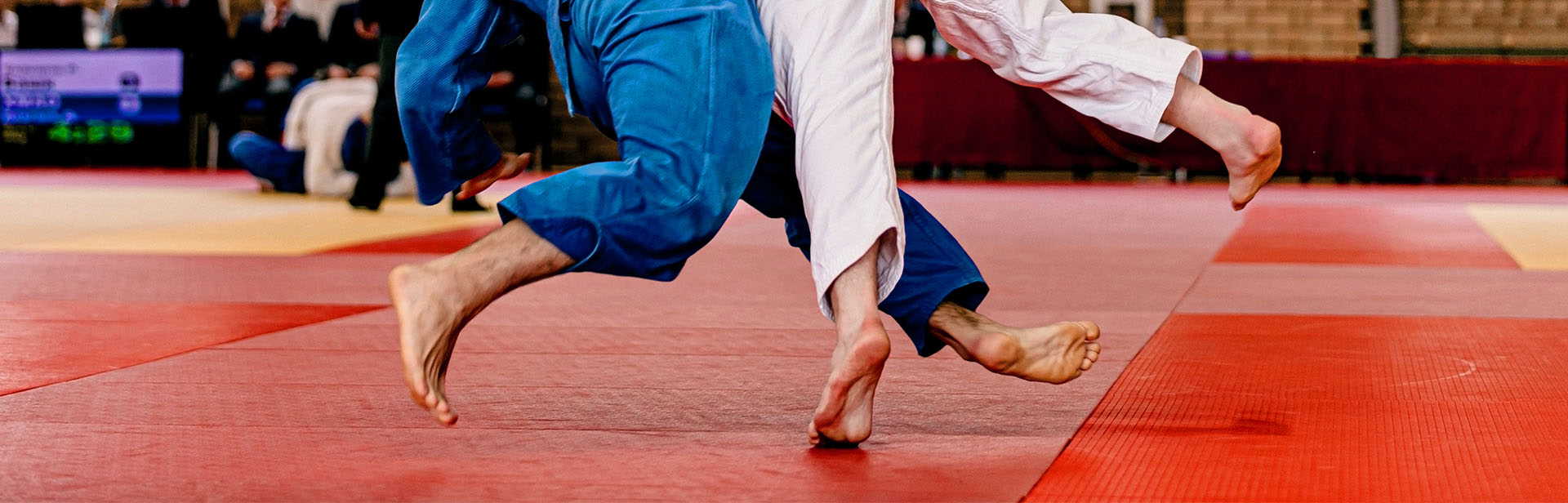 Judo Mats for sale Judo Mats for sale