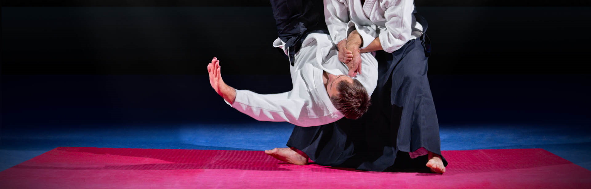 Aikido Mats for sale Aikido Mats for sale