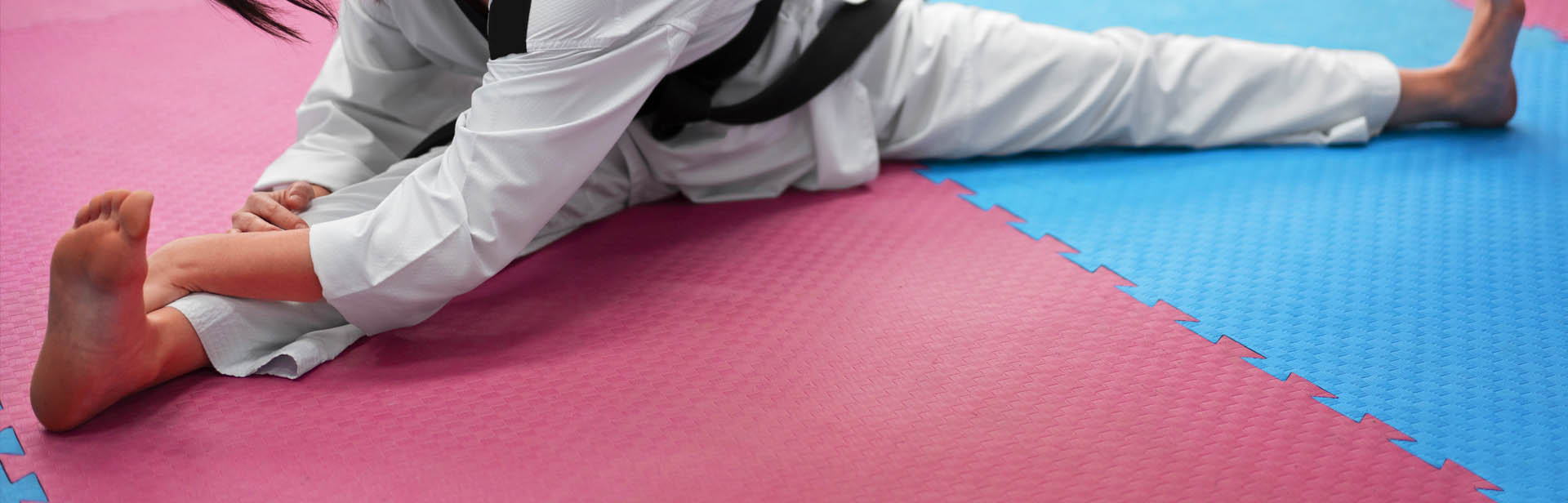 Kung Fu Mats for sale Kung Fu Mats for sale